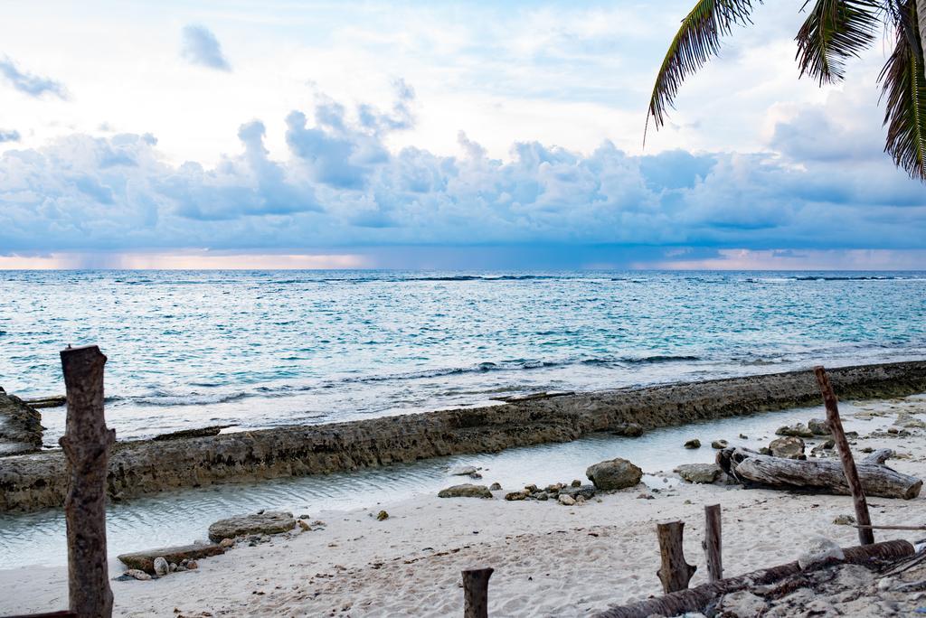 San Andrés The Rock House Eco (Adults Only) B&B 외부 사진